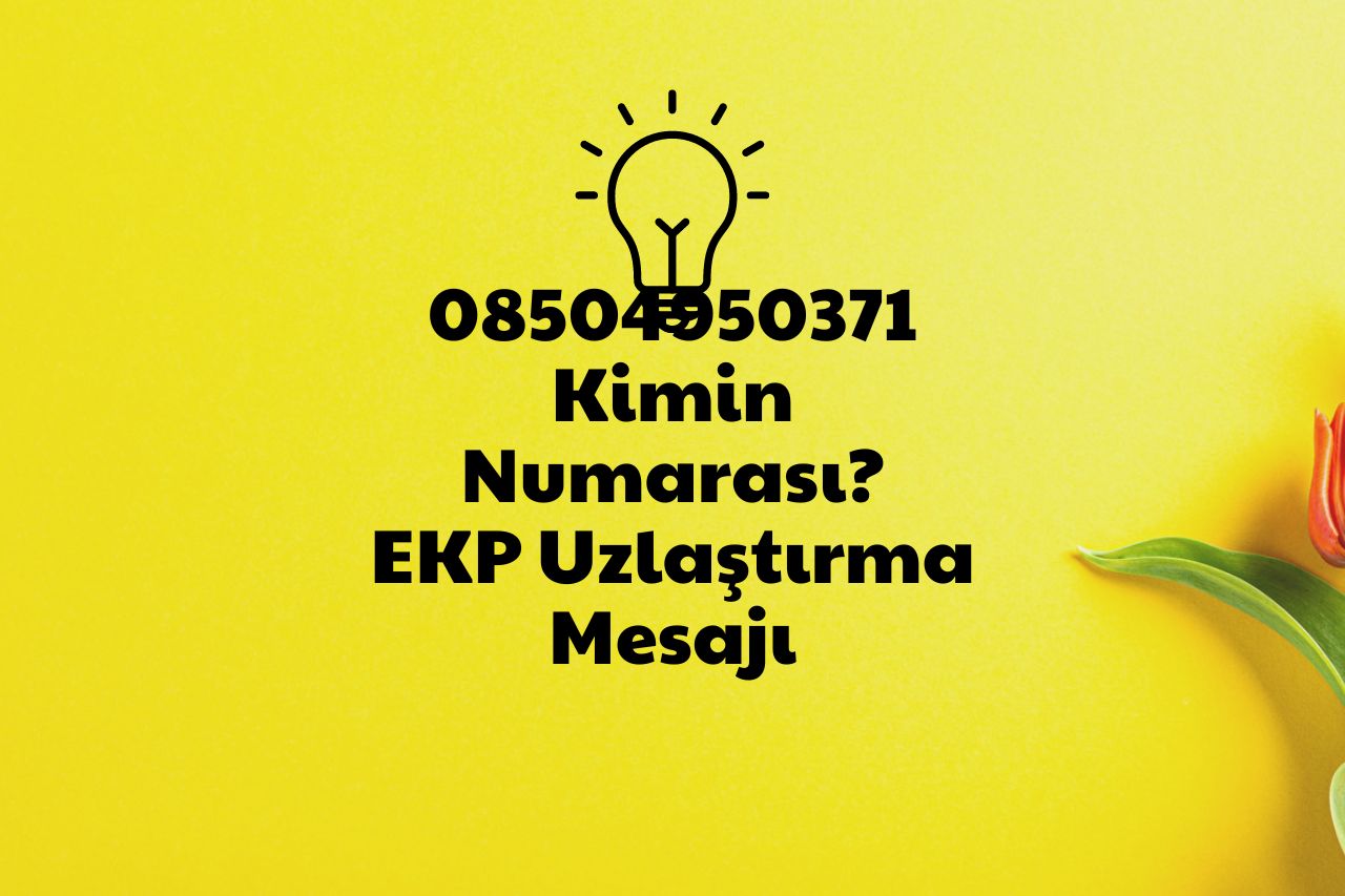08504950371 Kimin Numarası?
