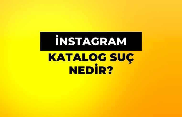 Katalog Suç Nedir? İnstagram Erişim Sorunu